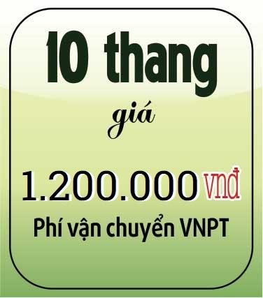 10 thang giá 1.200.000 vnđ (Chưa bao gồm phí vận chuyển)